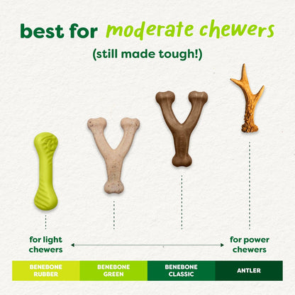 Dog Bones for Modest Chewers: Benebone Green Plant-Based Real Bacon Wishbone Dog Chew Toy for Medium Dogs, Made in USA - Image 4