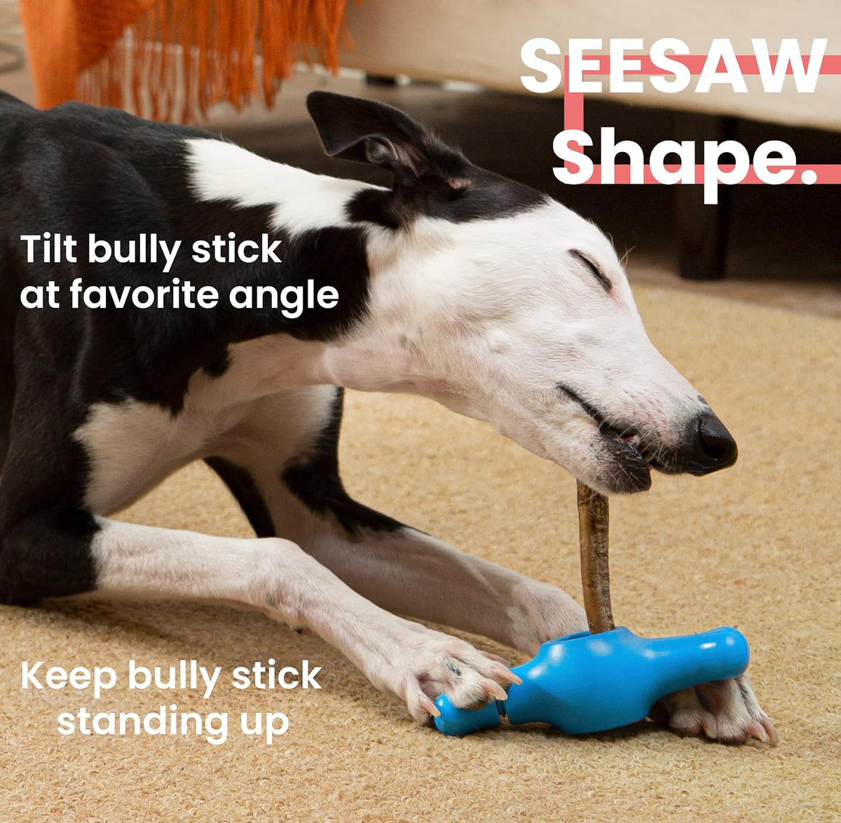 Small size cheweasy dog safety device on white background