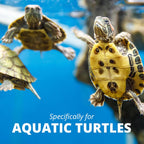Tetra ReptoMin baby sticks and dried krill treats for aquatic turtles