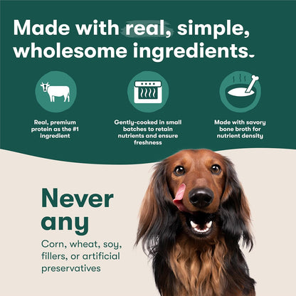 Jinx natural wet dog food topper six pack box set overview