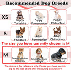 Adjustable protective dog recovery cone with secure velcro closure demonstration