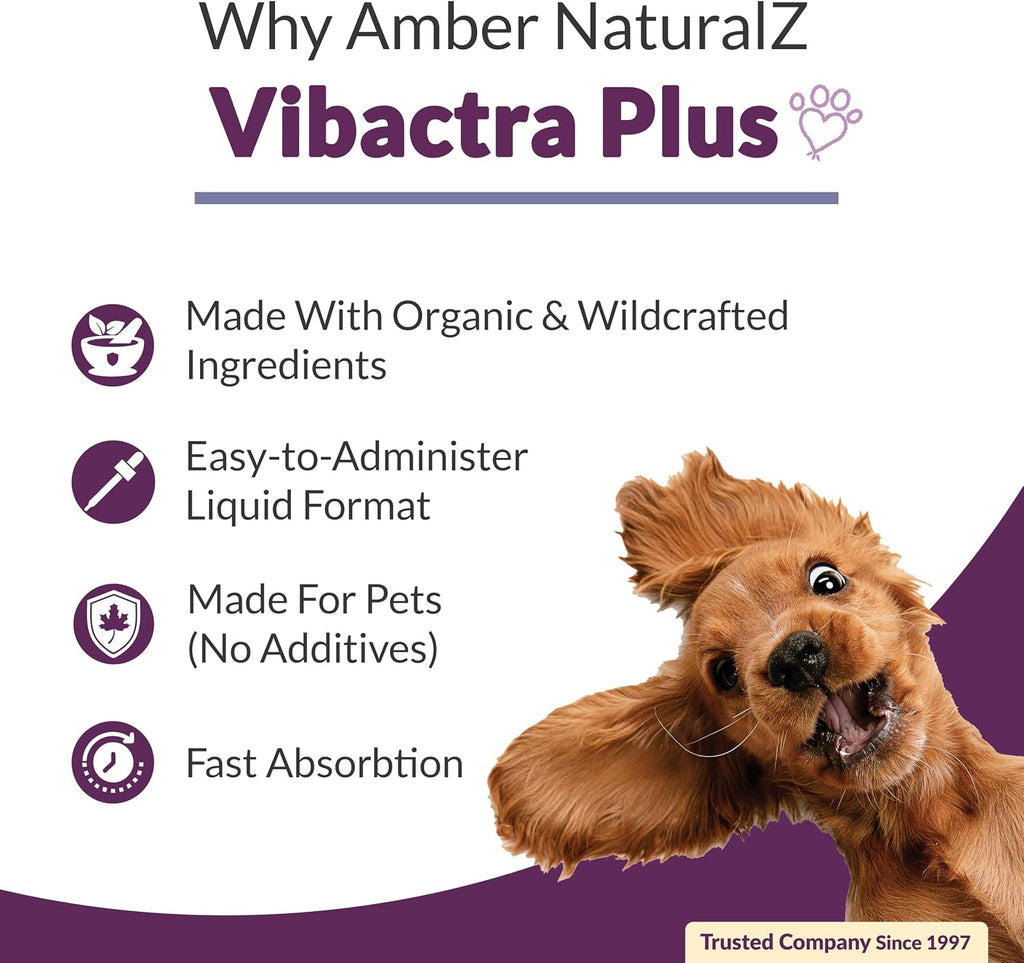 Close up of the amber glass dropper bottle for pet immune health