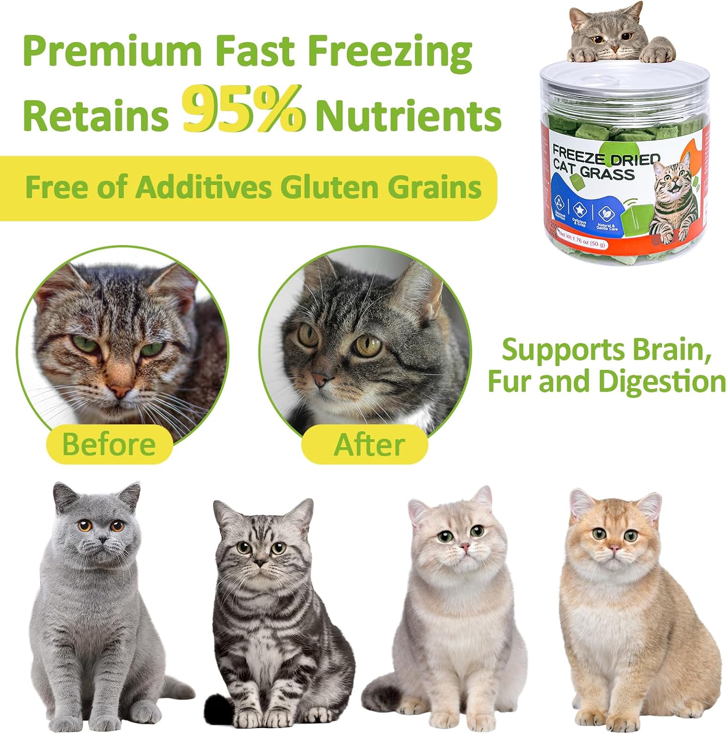 Cat enjoying a crunchy high fiber chicken breast snack for dental care