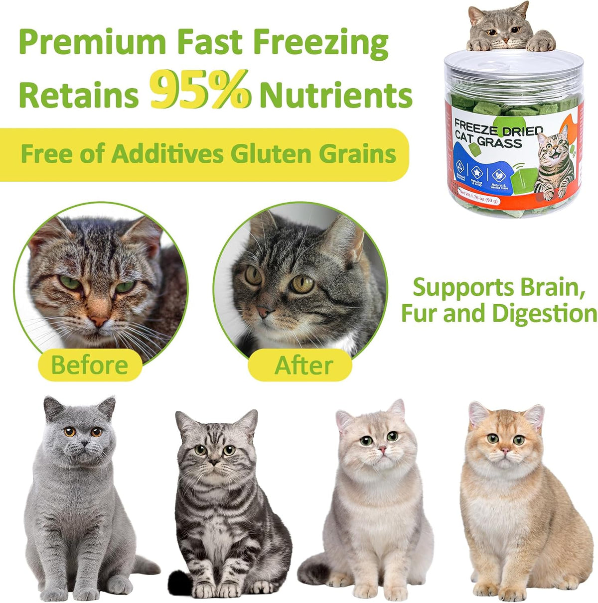 Cat enjoying a crunchy high fiber chicken breast snack for dental care
