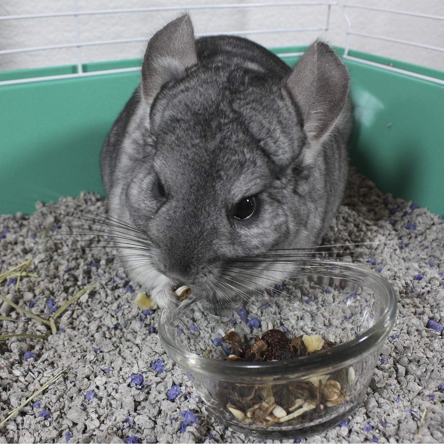 Vitakraft Cocktail Mixed Fruit Chinchilla Treat, 4.5 oz - Image 9