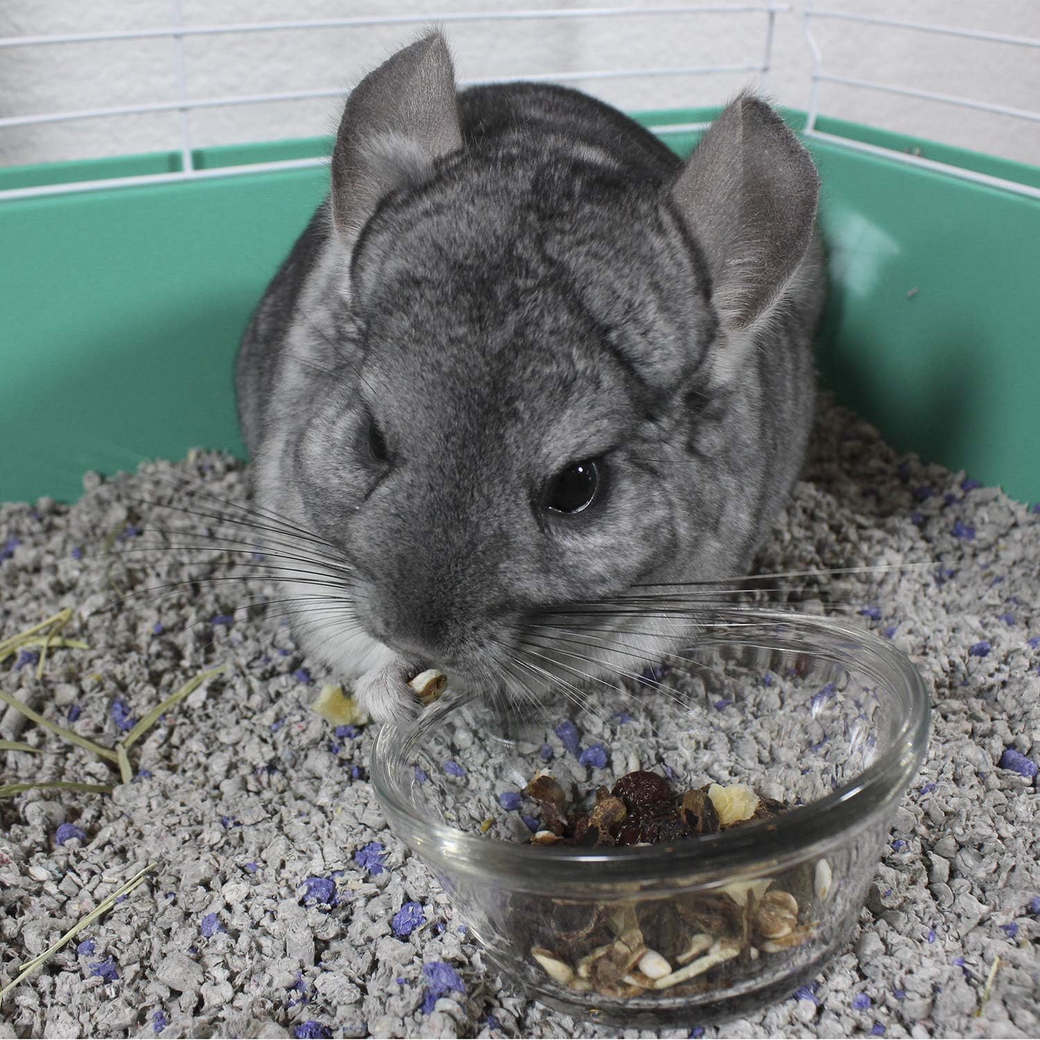 Vitakraft Cocktail Mixed Fruit Chinchilla Treat, 4.5 oz - Image 9