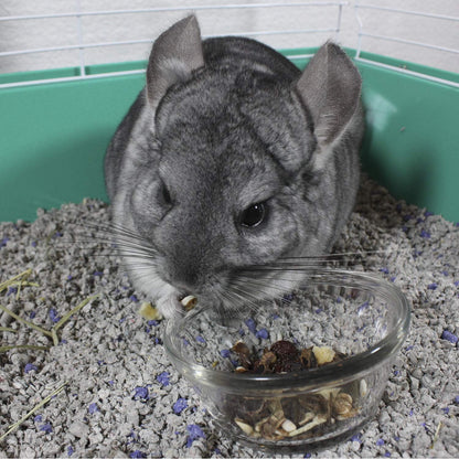 Vitakraft Cocktail Mixed Fruit Chinchilla Treat, 4.5 oz - Image 9
