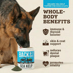 Back 40 Dogs kelp supplement powder texture and color