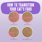 Weruva B.F.F. OMG - Best Feline Friend Oh My Gravy!, Rainbow A Gogo Variety Pack! Cat Food, 3oz Pouch (Pack of 12) - Image 9