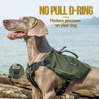 Close-up detail of the reinforced top grab handle and heavy-duty rear leash attachment point.