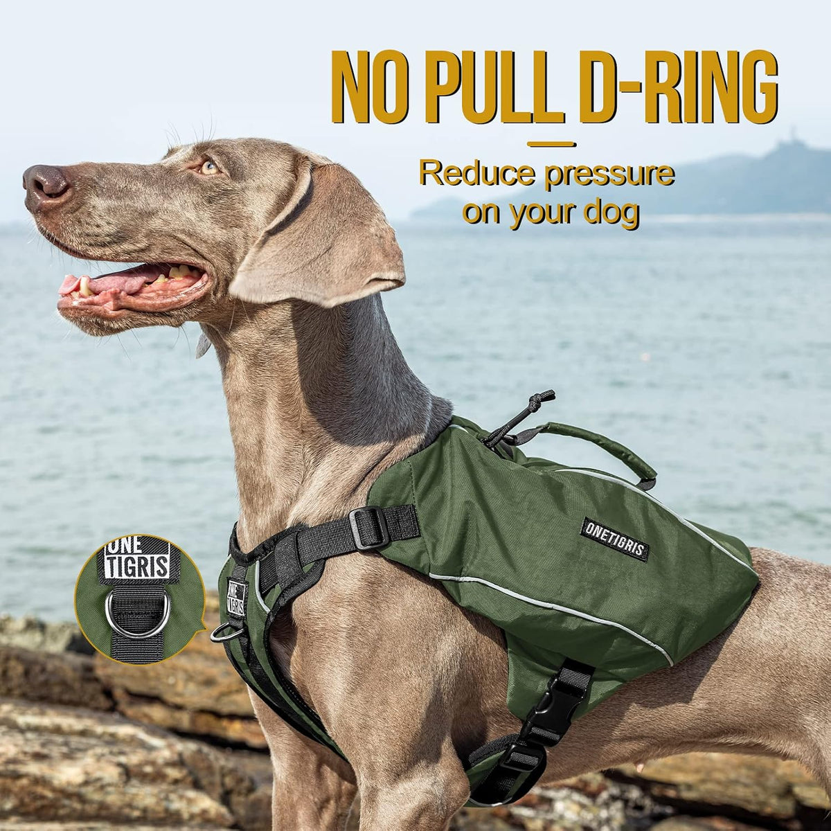 Close-up detail of the reinforced top grab handle and heavy-duty rear leash attachment point.