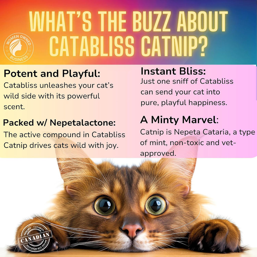 Catabliss premium catnip herb packaging showing ingredients