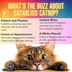 Catabliss premium catnip herb packaging showing ingredients