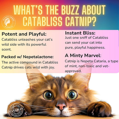 Catabliss premium catnip herb packaging showing ingredients