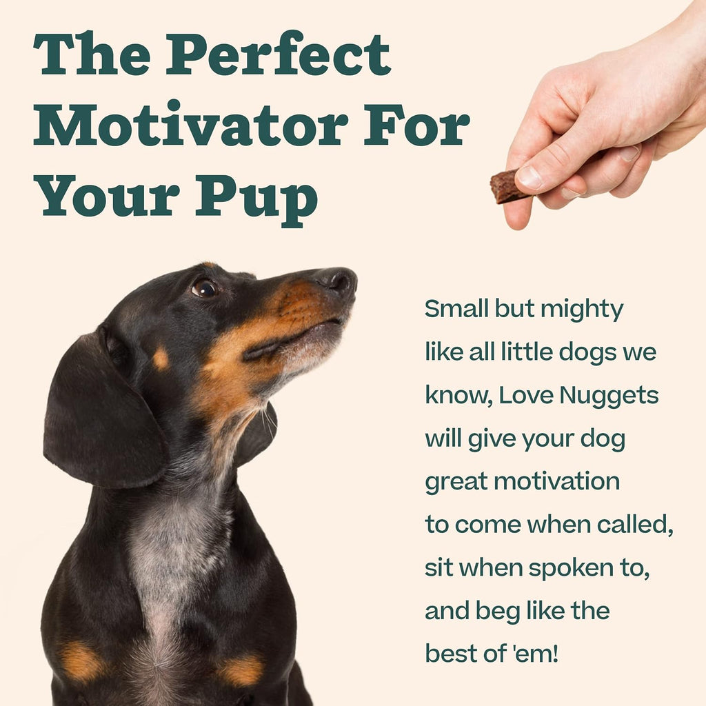 Woof Love Nuggets premium dog treats made in USA