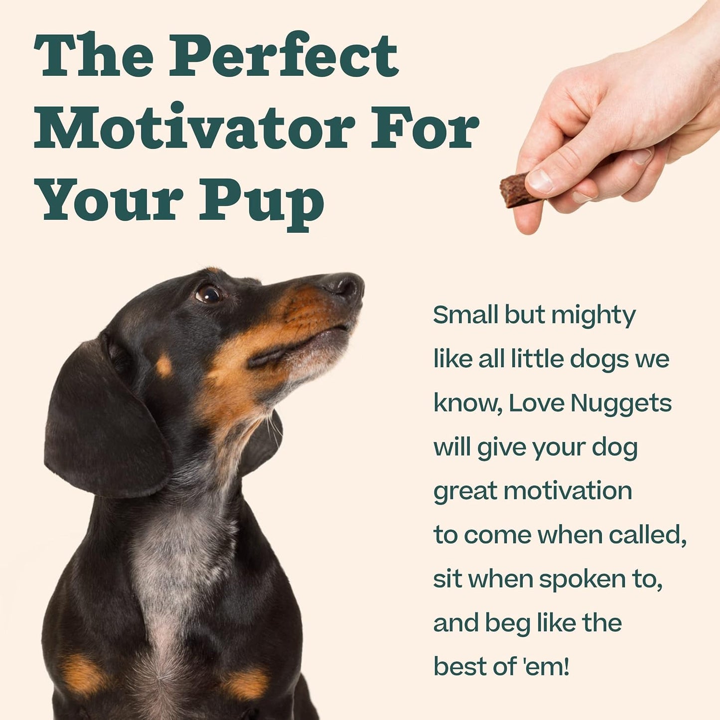 Woof Love Nuggets premium dog treats made in USA