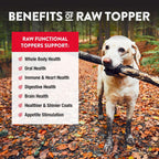 Premium imported USA pet supplement for iron and protein support