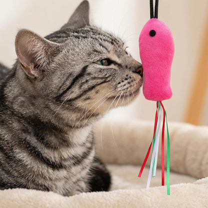Indoor kitten batting at a ZeyZoo catnip kicker toy