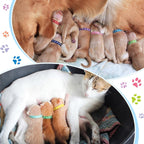 Frienda durable polyester puppy ID bands demonstrating flexible premium fabric quality