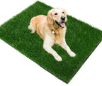 Easy cleaning process of dog pee pad with water hose
