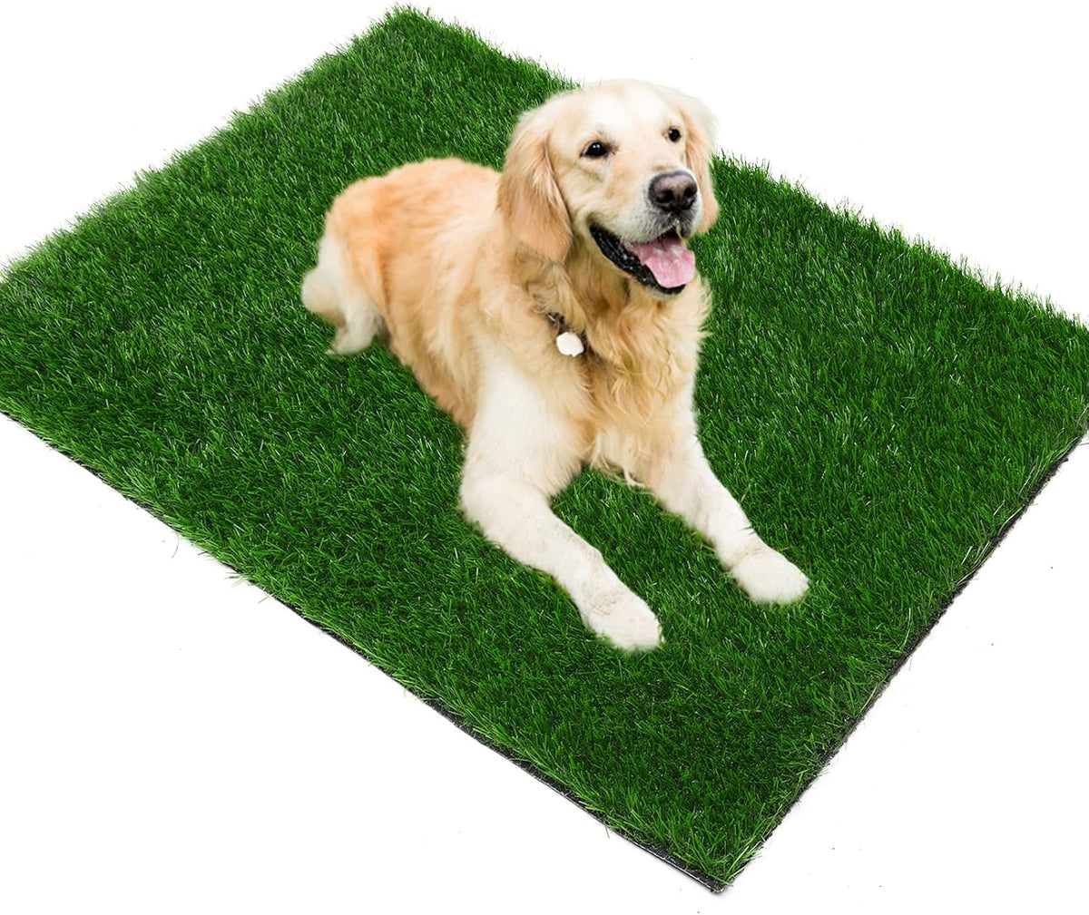 Easy cleaning process of dog pee pad with water hose