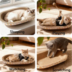 Cat scratching on Spindro oval cardboard board