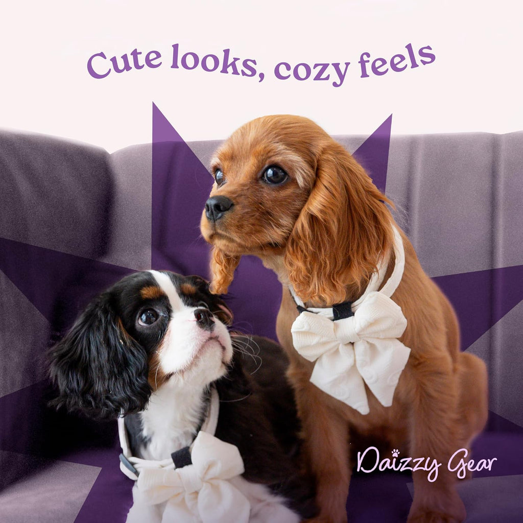 Ergonomic design of Daizzy Gear pet walking accessory
