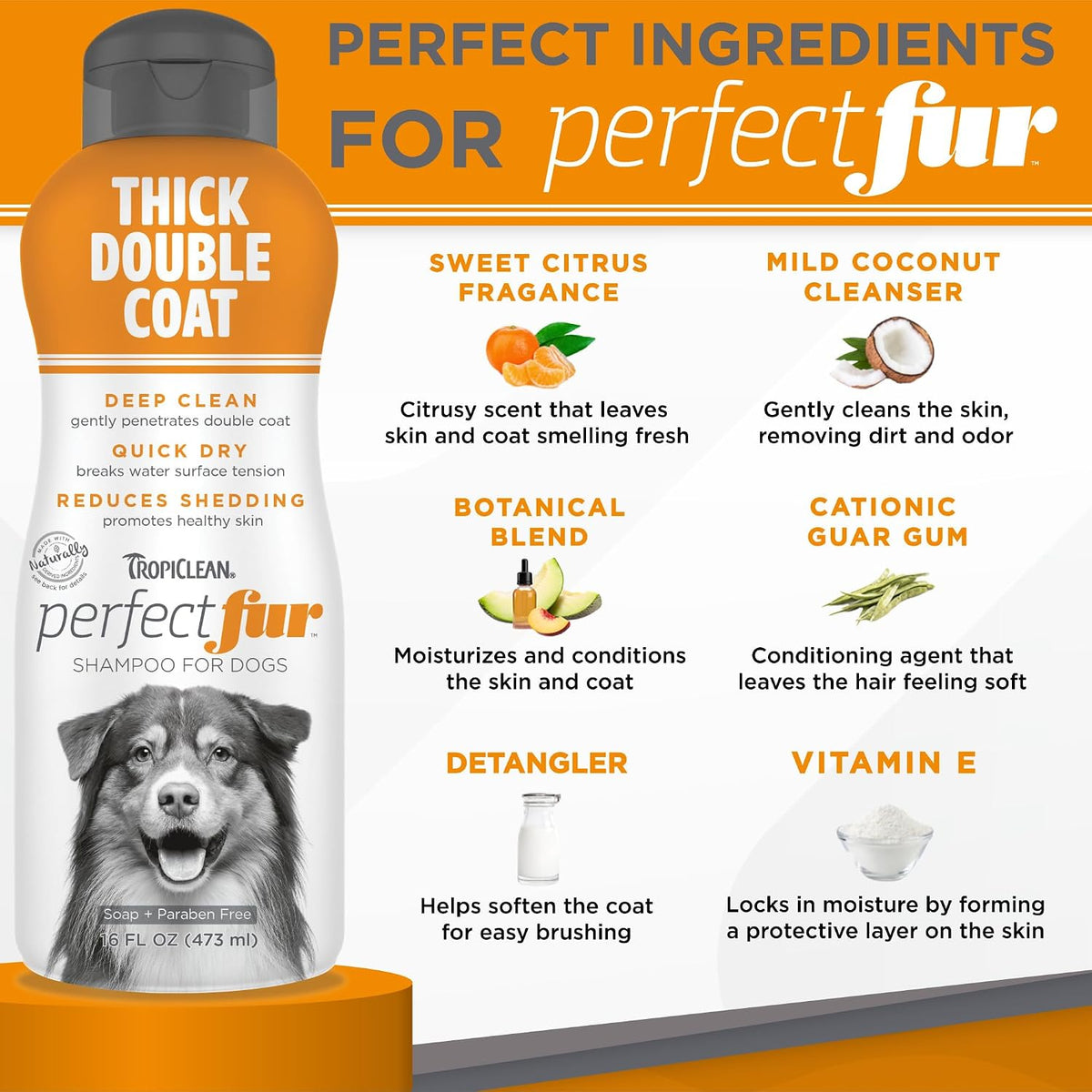 Grooming a German Shepherd with TropiClean Perfect Fur shampoo