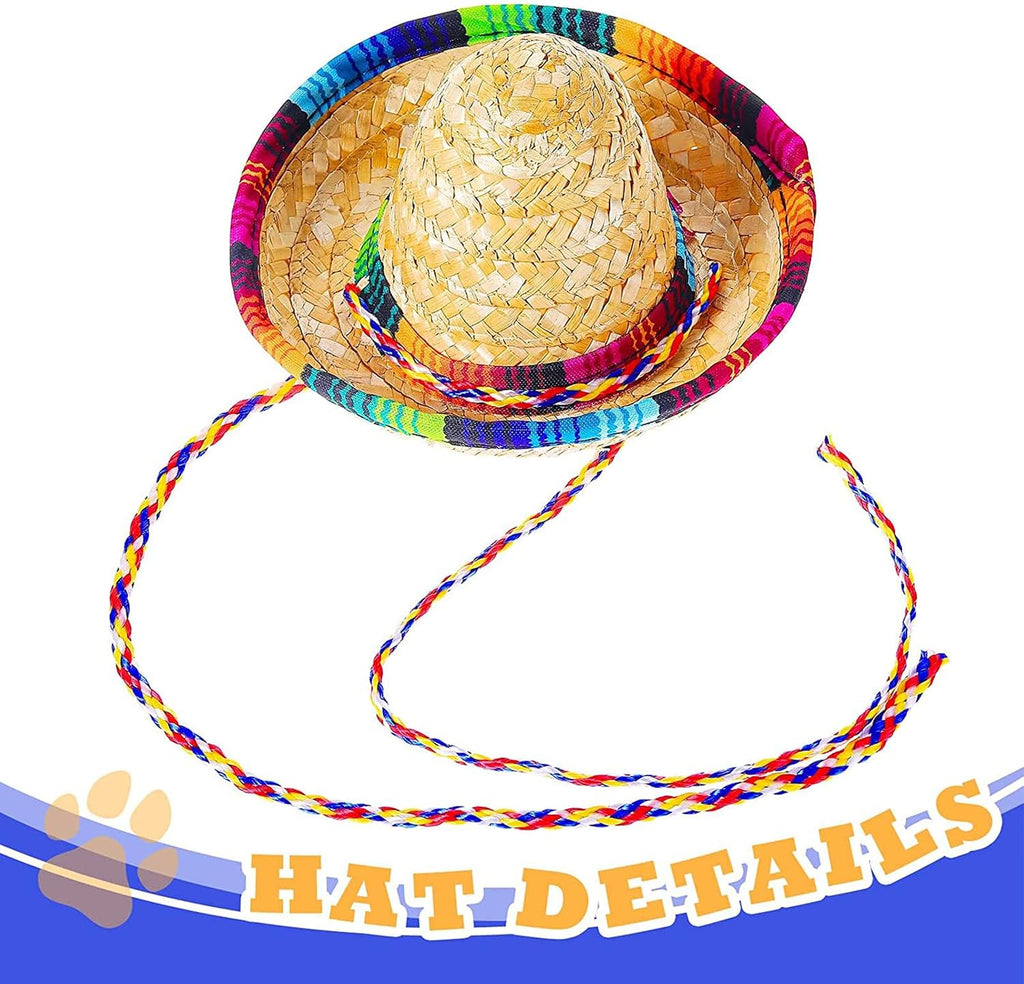 Close up of Ramede miniature straw sombrero hat for pets