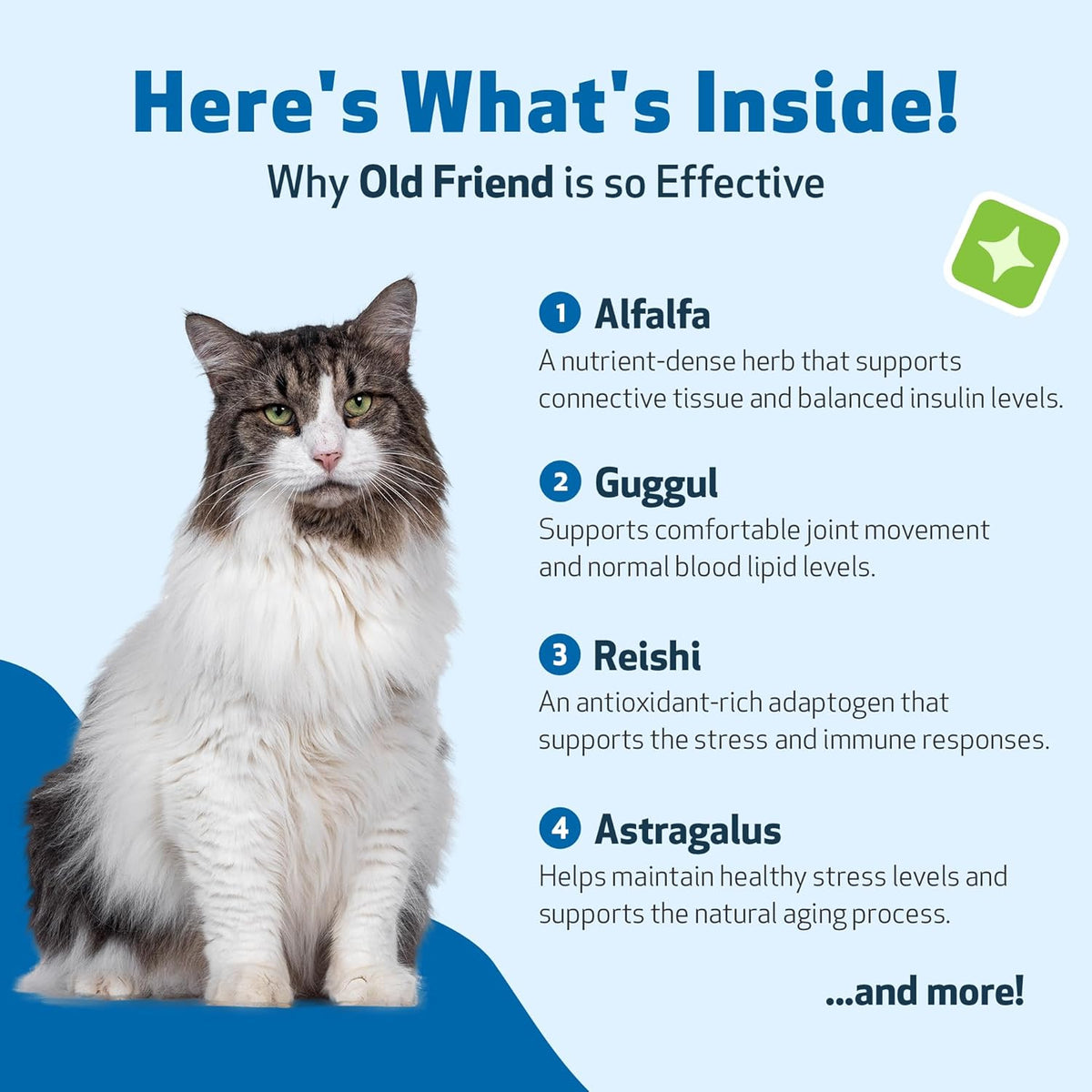 Pet Wellbeing Old Friend supplement next to measurement dropper