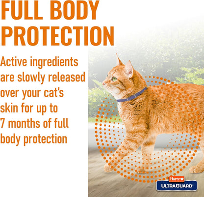 Close up of Hartz 7 month flea protection label on product