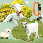 Foilswirl multi color goat collars pack spread out to show assorted weather resistant straps.