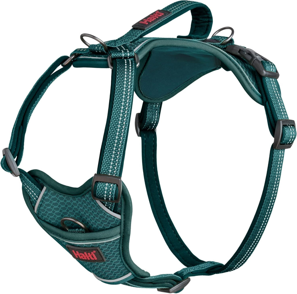 Halti Anatomy Dog Harness teal front view for large dogs