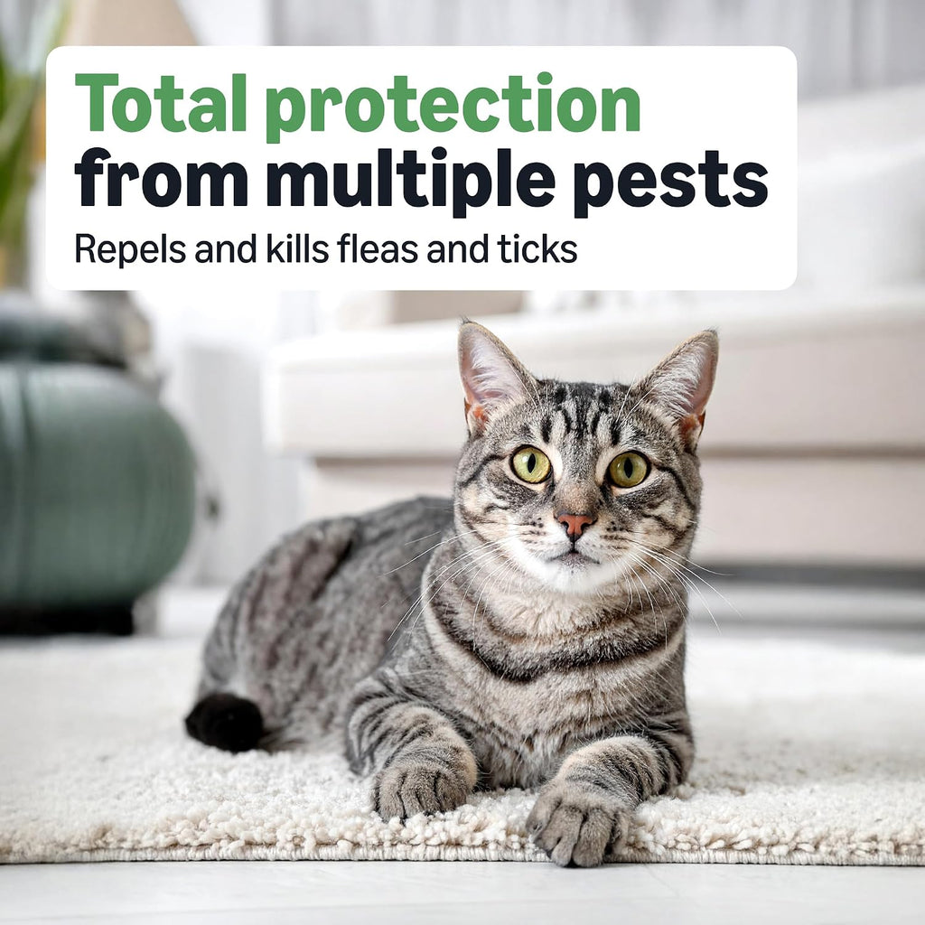Waterproof cat topical flea treatment six count package back view