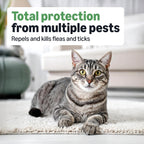 Waterproof cat topical flea treatment six count package back view