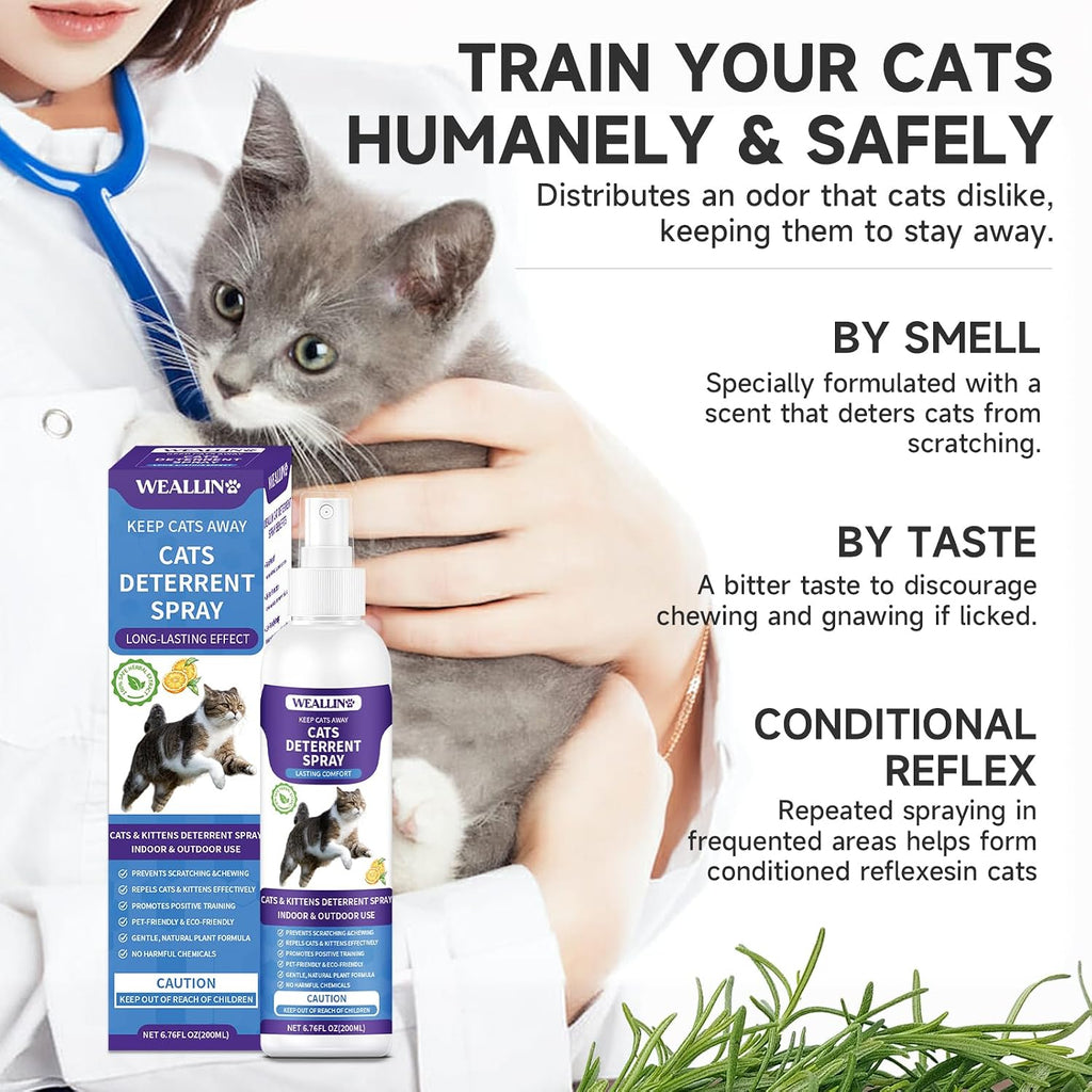 WEALLIN Cat Deterrent Spray, 6.76 FL Oz Natural Cat Repellent Spray Indoor & Outdoor, Anti-Scratch Training Aid for Furniture, Sofas, Rugs, Curtains, Plants - Non-Toxic, Alcohol-Free Formula - Image 3
