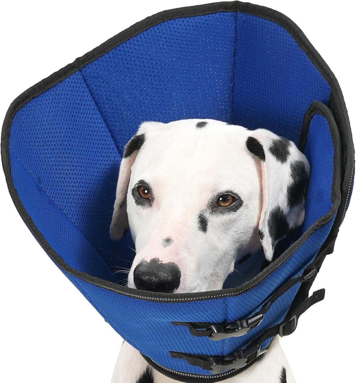 Avont 2026 Upgraded Dog Recovery Collar, Breathable Mesh Elizabethan Collar - Soft Dog Cone Alternative After Surgery to Stop Licking, Foldable/Adjustable/Secure-Fit for Medium Large Dogs, Avocado (L - Image 11