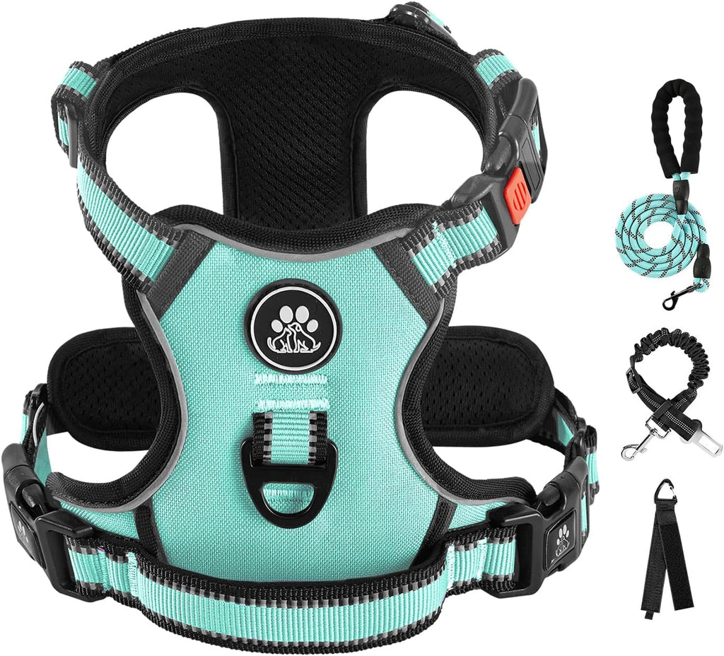 IVY&LANE No Pull Dog Harness for Medium Dogs, Dog Vest Harness with Leash, Safety Belt and Storage Strap, Fully Adjustable Harness, 360 degrees Reflective Strip, Soft Handle (Purple, M) - Image 13
