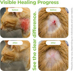 Vetenix daily cat skin care spray for scratches and sores