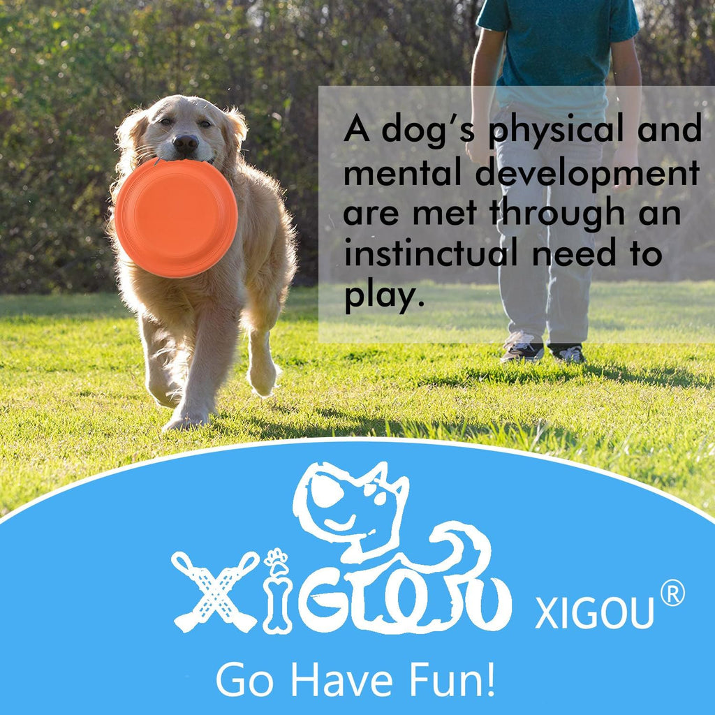 Medium breed dog playing with Xigou rubber flying disc