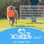 Medium breed dog playing with Xigou rubber flying disc