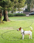 Taglory pet tracking lead rolled up next to drawstring storage bag