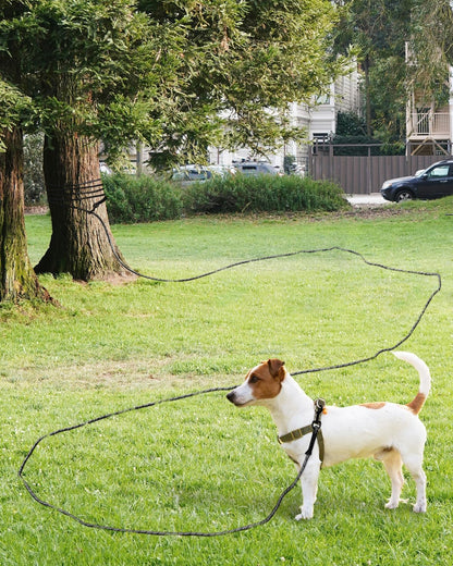 Taglory pet tracking lead rolled up next to drawstring storage bag