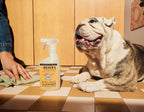 Mrs. MEYER'S CLEAN DAY Pet Multi-Surface Cleaner, Orange Blossom Scent, 16oz - Image 10