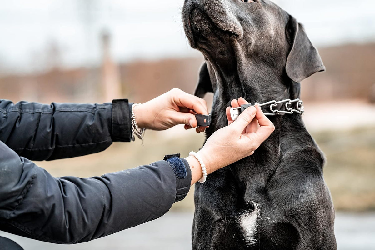 Herm Sprenger Ultra Plus training collar highlighting the 360 degree swivel ring connection