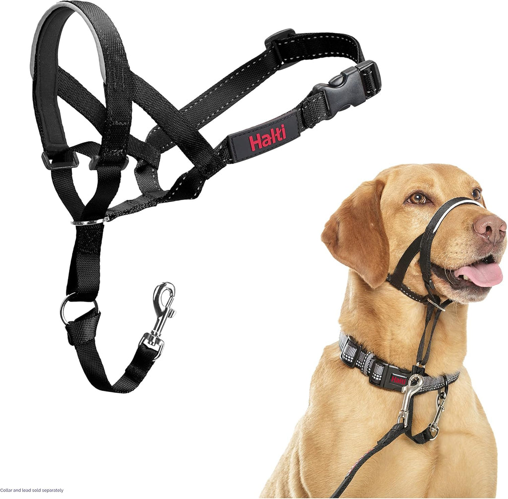 Halti headcollar brand black size 3 front view anti pull dog training tool
