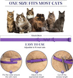 Close up of natural ingredient Glovv collar for cats