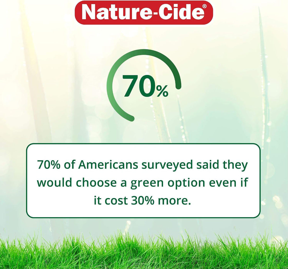 Natural pet-safe flea and tick spray bottle