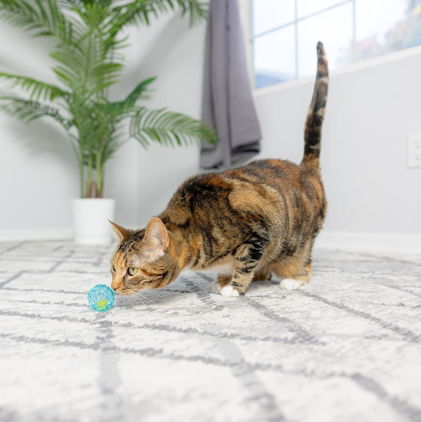 SPOT Lattice Balls Cat Toys - Durable, Fun Balls with Bells Perfect for Swatting and Batting, Colorful Toys to Entertain Indoor Cats and Kittens, - 1.5 inch, 4 pcs - Image 9