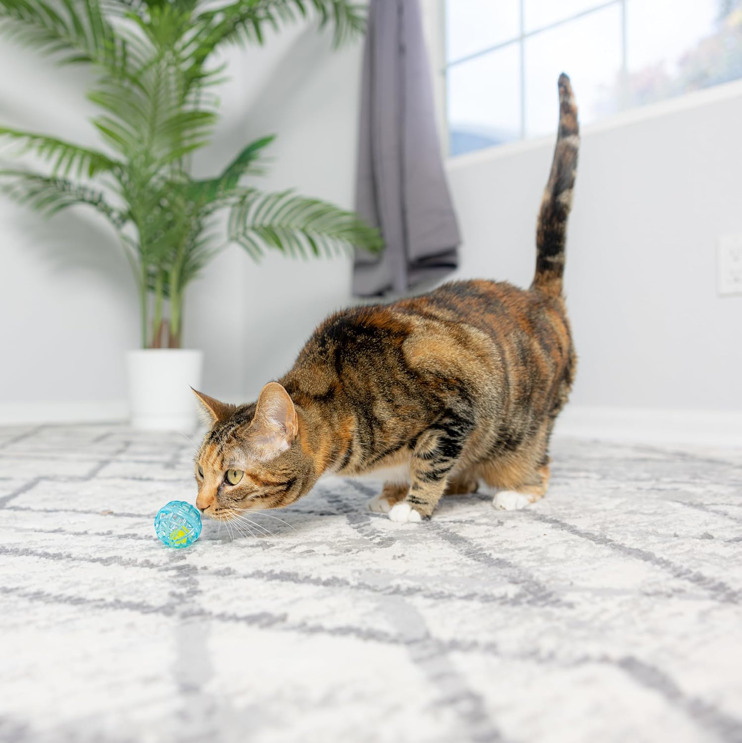 SPOT Lattice Balls Cat Toys - Durable, Fun Balls with Bells Perfect for Swatting and Batting, Colorful Toys to Entertain Indoor Cats and Kittens, - 1.5 inch, 4 pcs - Image 9